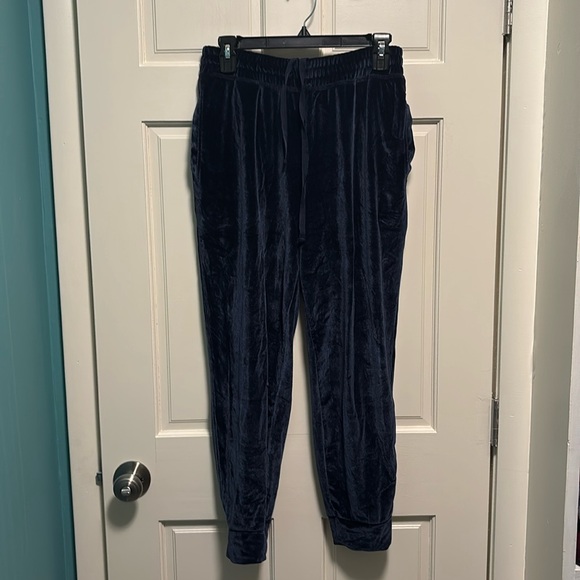 Fabletics Navy Blue Velvet Jogger Pants - Picture 1 of 11